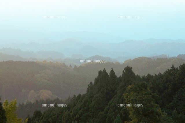 f:id:bigbig-apple:20120426074505j:image:w250 f:id:bigbig-apple:20120426074505j:image:w250