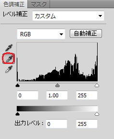 f:id:bigbig-apple:20120509095447j:image:w150 f:id:bigbig-apple:20120509095447j:image:w150