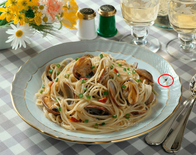 f:id:bigbig-apple:20120524120455j:image:w250 f:id:bigbig-apple:20120524120455j:image:w250