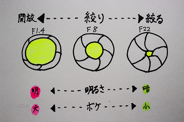 f:id:bigbo-wataru:20190612170605j:plain