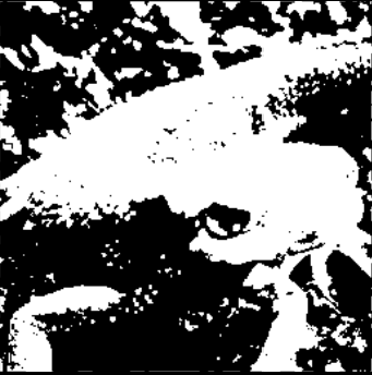 f:id:bigdra50:20210214202209p:plain