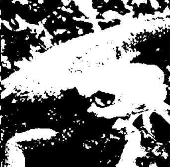 f:id:bigdra50:20210214202245p:plain
