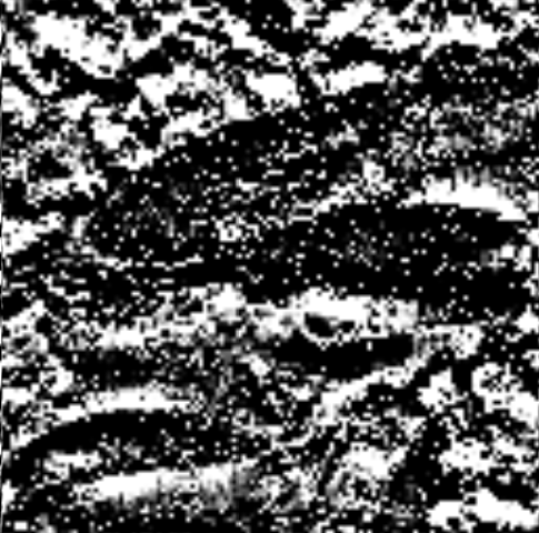 f:id:bigdra50:20210215150421p:plain