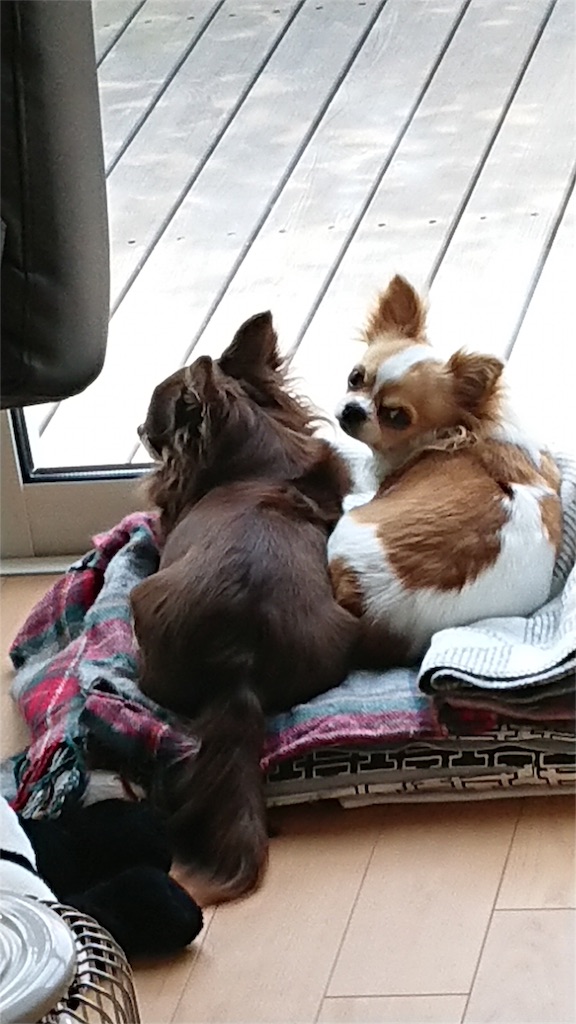 f:id:bigfuji7:20180509171529j:image f:id:bigfuji7:20180509171529j:image