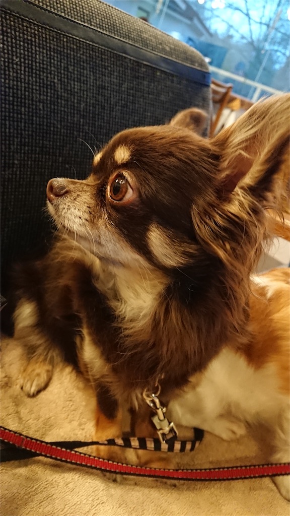 f:id:bigfuji7:20180509202801j:image f:id:bigfuji7:20180509202801j:image