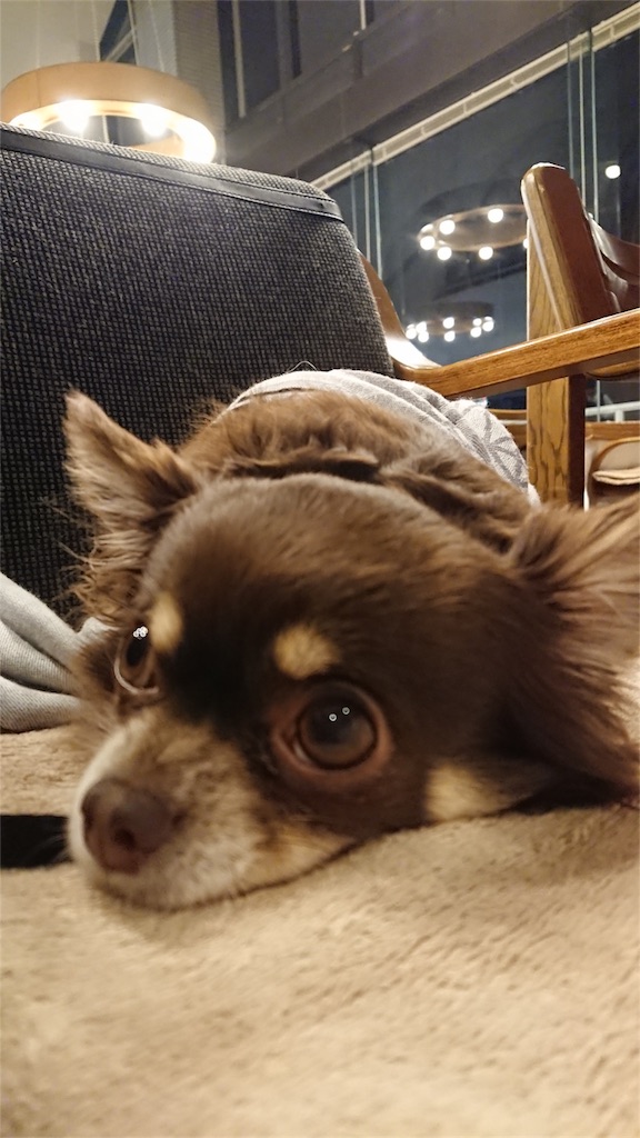 f:id:bigfuji7:20180509203728j:image f:id:bigfuji7:20180509203728j:image