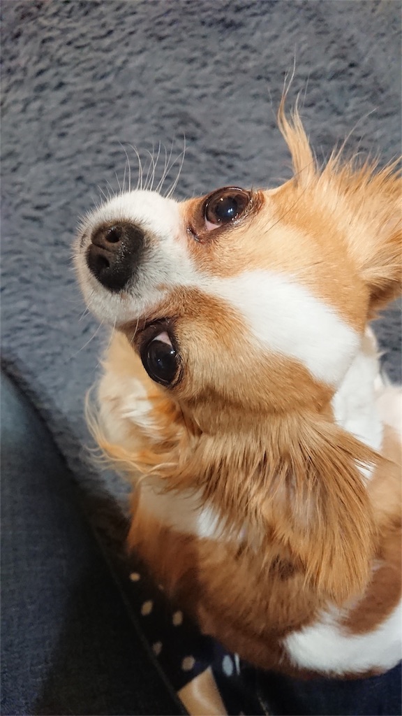 f:id:bigfuji7:20180509204555j:image f:id:bigfuji7:20180509204555j:image