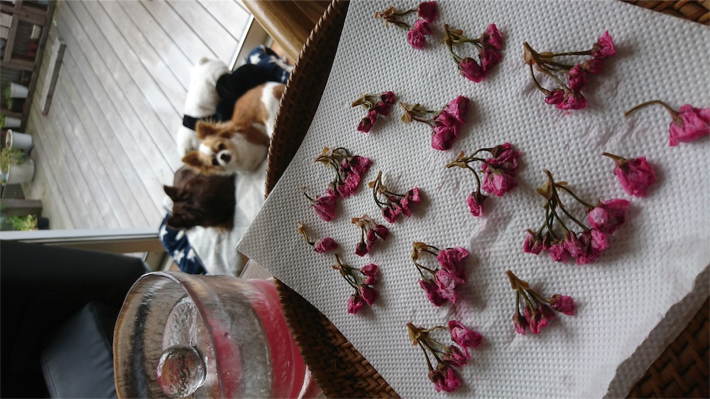 f:id:bigfuji7:20180510214347j:image f:id:bigfuji7:20180510214347j:image