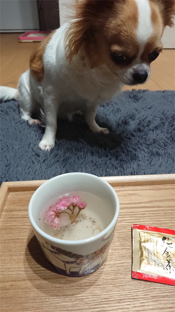 f:id:bigfuji7:20180510215152j:image f:id:bigfuji7:20180510215152j:image