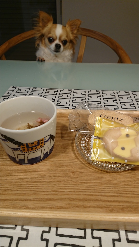 f:id:bigfuji7:20180510215409j:image f:id:bigfuji7:20180510215409j:image