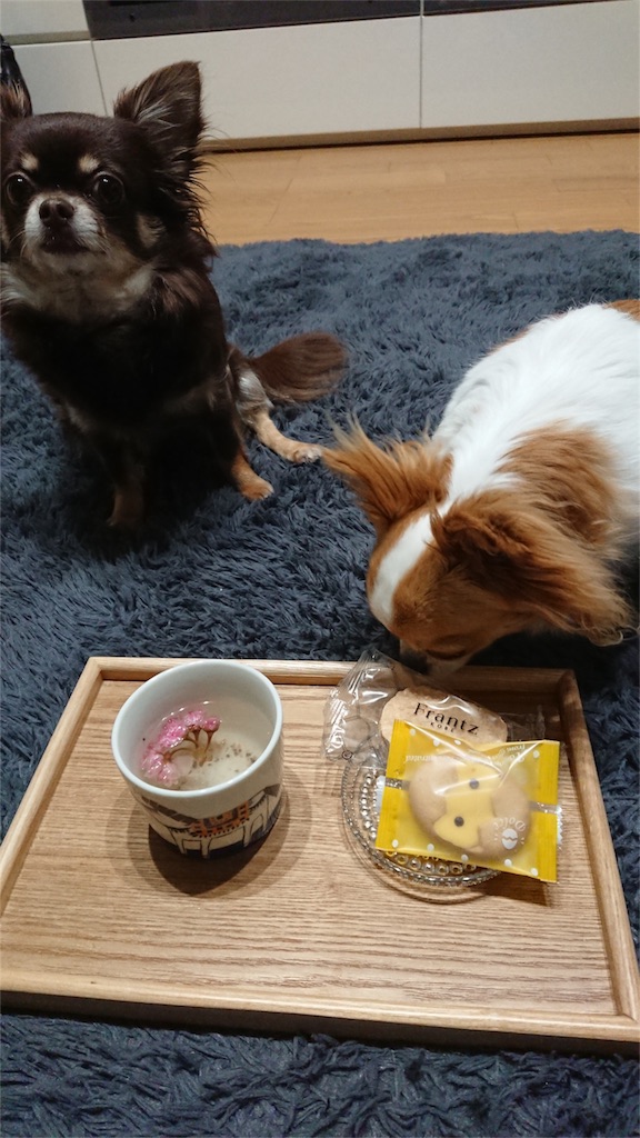 f:id:bigfuji7:20180510215646j:image f:id:bigfuji7:20180510215646j:image