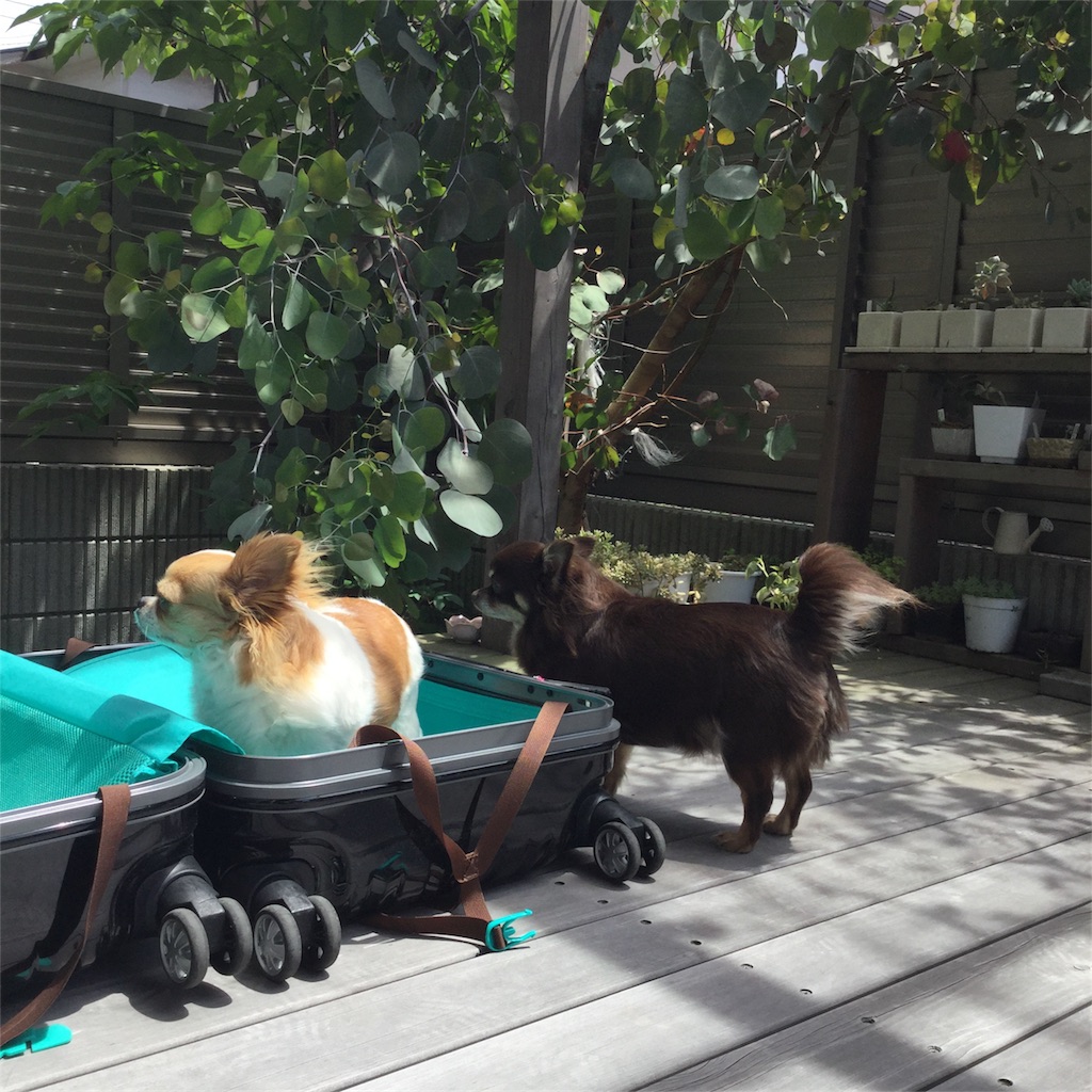 f:id:bigfuji7:20180511124655j:image f:id:bigfuji7:20180511124655j:image