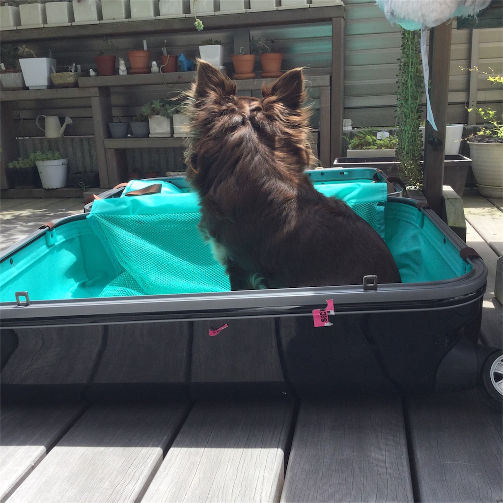 f:id:bigfuji7:20180511124932j:image f:id:bigfuji7:20180511124932j:image