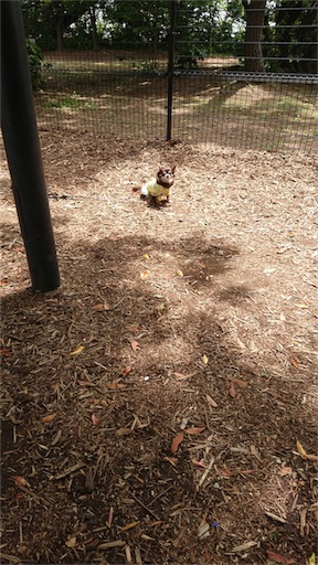 f:id:bigfuji7:20180512222345j:image f:id:bigfuji7:20180512222345j:image