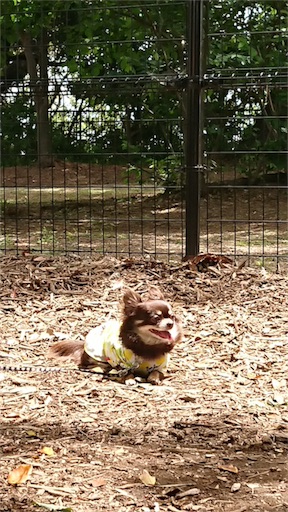 f:id:bigfuji7:20180512222402j:image f:id:bigfuji7:20180512222402j:image