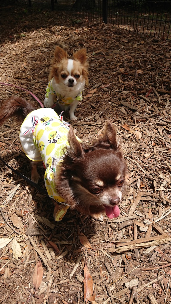 f:id:bigfuji7:20180512230139j:image f:id:bigfuji7:20180512230139j:image