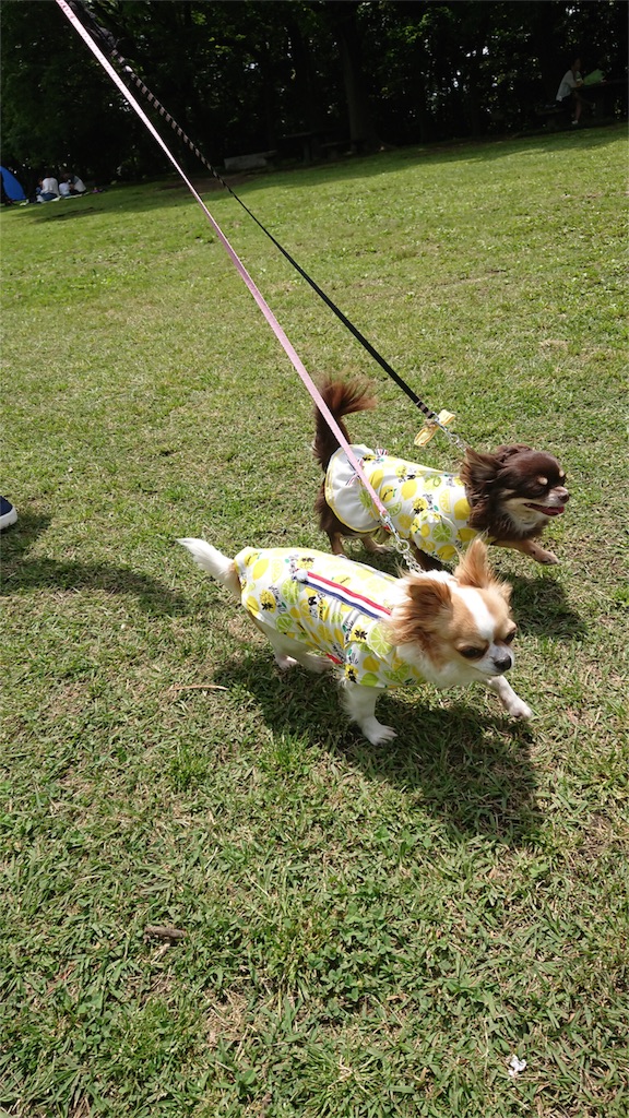 f:id:bigfuji7:20180512233050j:image f:id:bigfuji7:20180512233050j:image