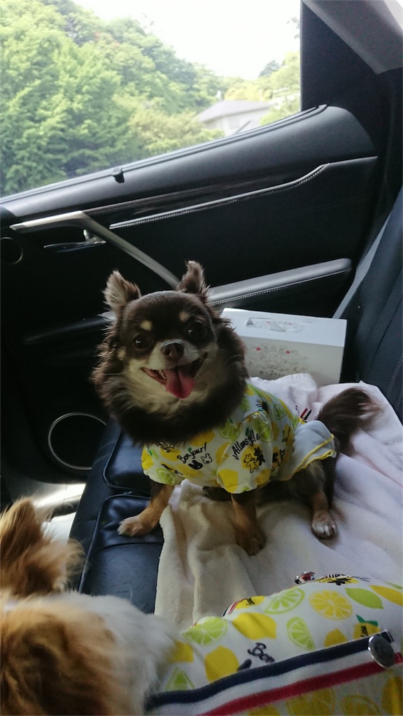 f:id:bigfuji7:20180512233338j:image f:id:bigfuji7:20180512233338j:image