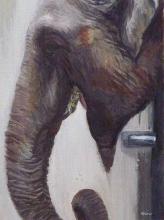 f:id:bigkushirokouritsu:20160715144529j:plain