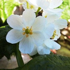 f:id:bigkushirokouritsu:20160810130654j:plain