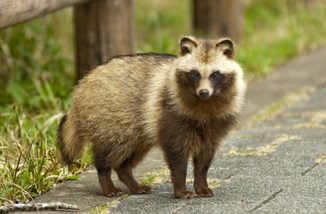 f:id:bigkushirokouritsu:20160925140218j:plain