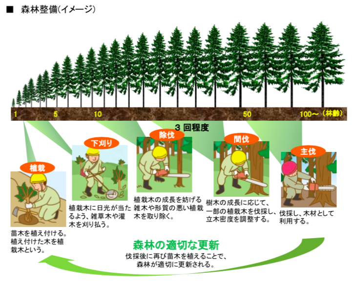 伐採雑木の多面的活用　中部森林開発研究会 伐採雑木の多面的活用 中部森林開発研究会