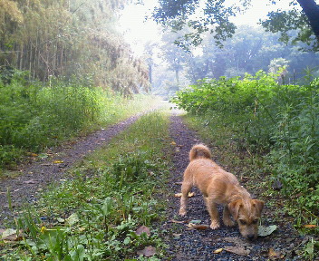 f:id:bigrovy:20130614162100j:image