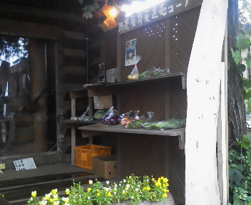f:id:bigrovy:20130622165100j:image