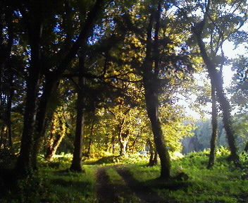 f:id:bigrovy:20130905173000j:image