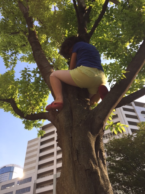 f:id:bigstrategy:20150501131743j:plain f:id:bigstrategy:20150501131743j:plain