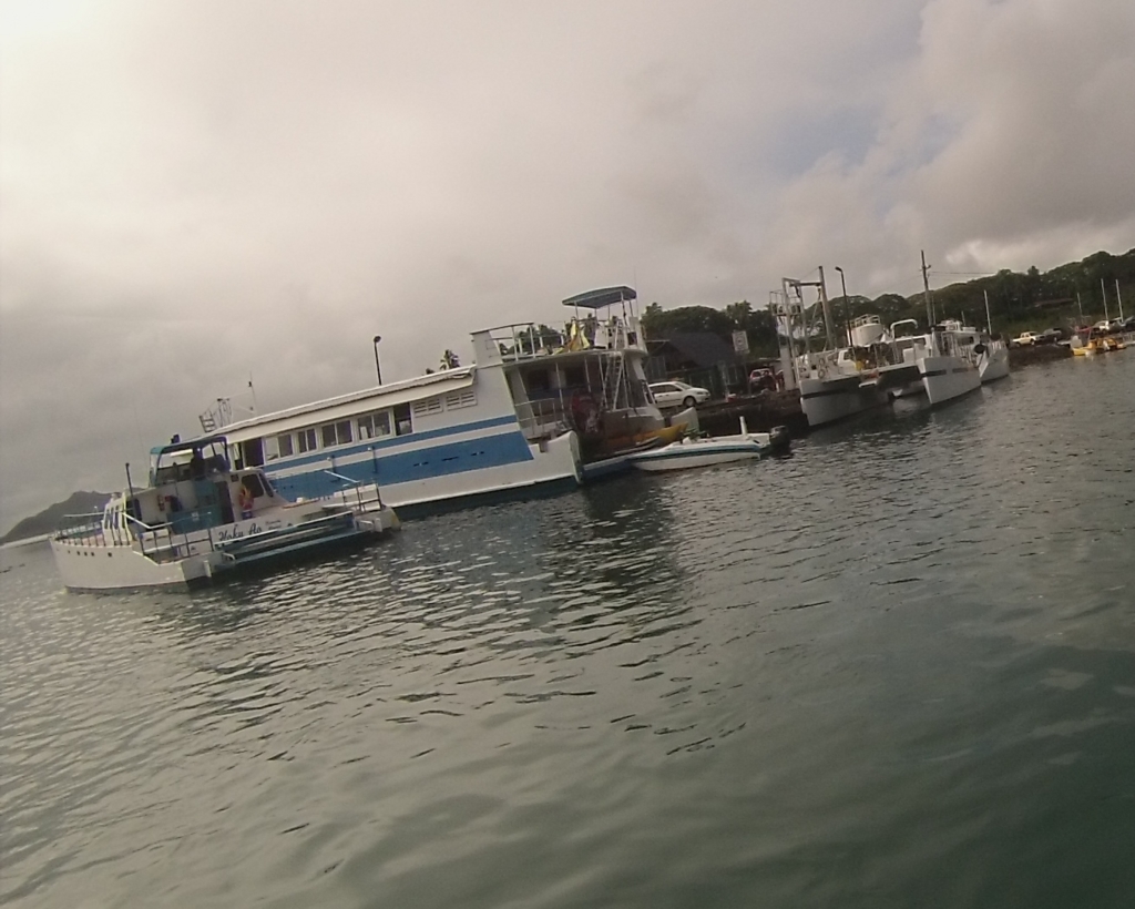 f:id:bigstrategy:20150727151529j:plain