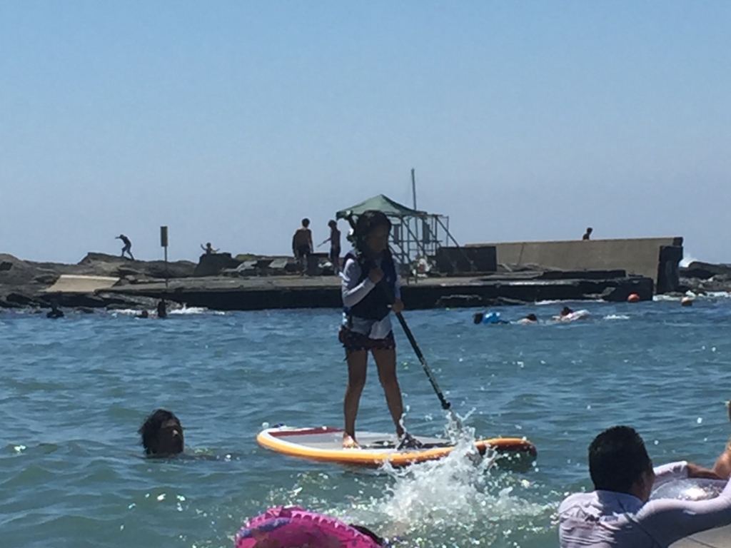 f:id:bigstrategy:20150824162305j:plain