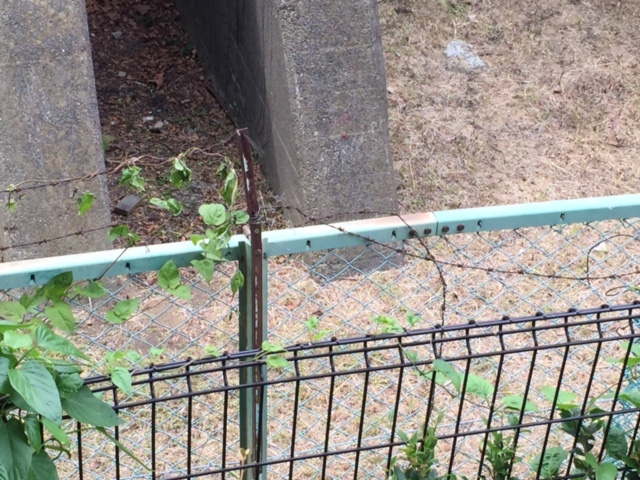 f:id:bigstrategy:20150831161051j:plain f:id:bigstrategy:20150831161051j:plain