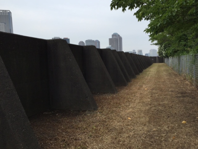 f:id:bigstrategy:20150831161251j:plain f:id:bigstrategy:20150831161251j:plain