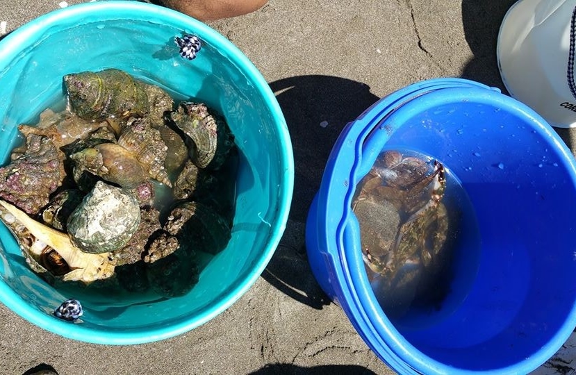 f:id:bigstrategy:20160823125254j:plain