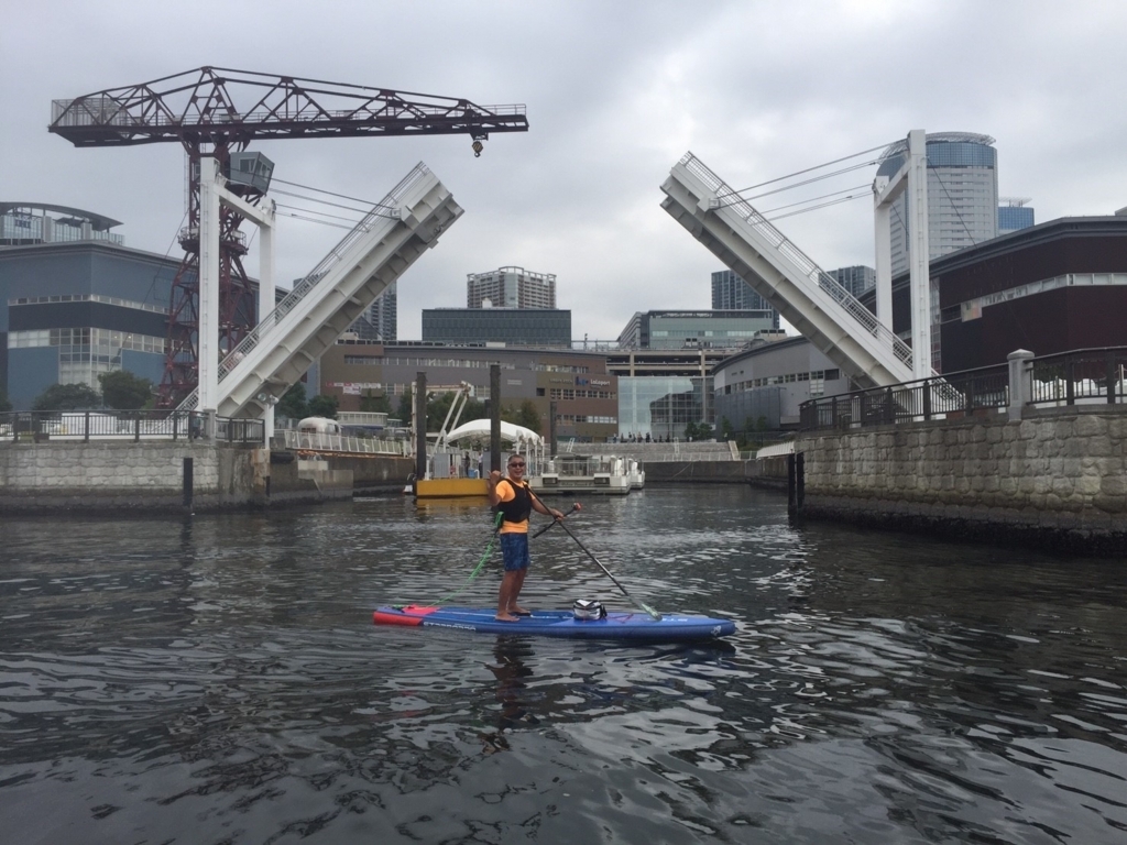 f:id:bigstrategy:20171005180209j:plain f:id:bigstrategy:20171005180209j:plain