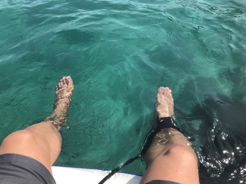 f:id:bigstrategy:20180605105930j:plain f:id:bigstrategy:20180605105930j:plain