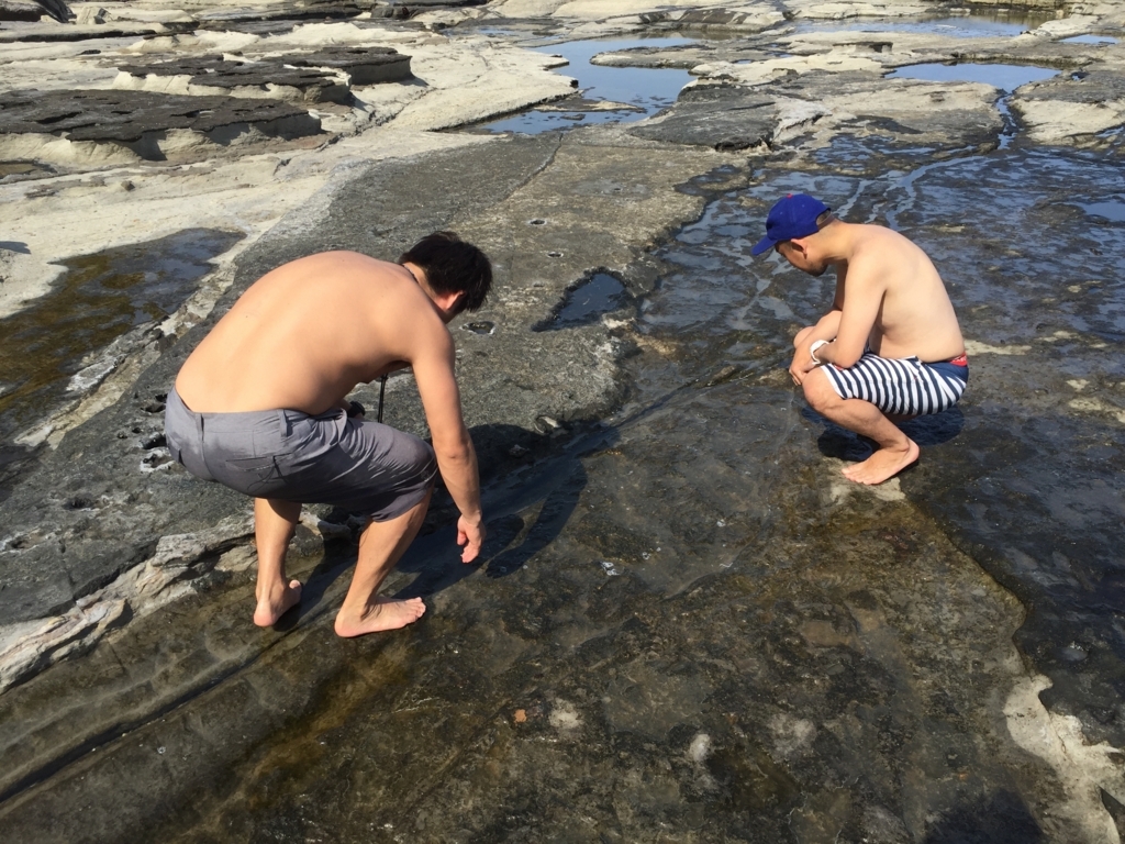 f:id:bigstrategy:20180605164523j:plain f:id:bigstrategy:20180605164523j:plain