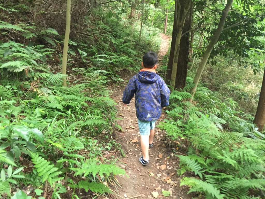 f:id:bigstrategy:20180706143530j:plain f:id:bigstrategy:20180706143530j:plain