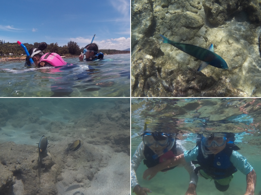 f:id:bigstrategy:20180719170955p:plain f:id:bigstrategy:20180719170955p:plain