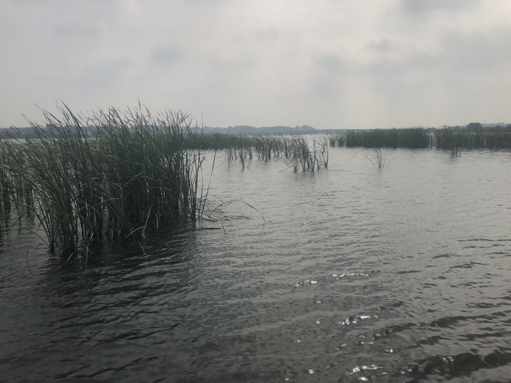 f:id:bigstrategy:20180817181955j:plain f:id:bigstrategy:20180817181955j:plain