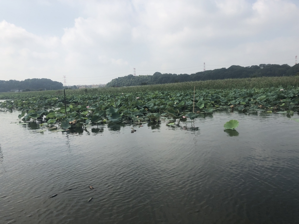 f:id:bigstrategy:20180818003504j:plain f:id:bigstrategy:20180818003504j:plain