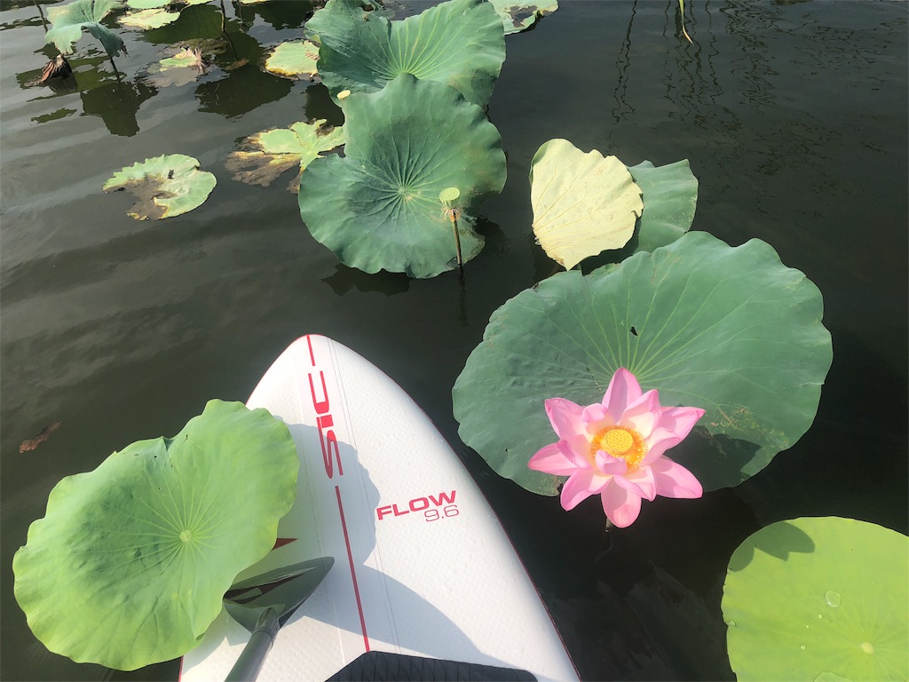 f:id:bigstrategy:20180819091439j:image f:id:bigstrategy:20180819091439j:image