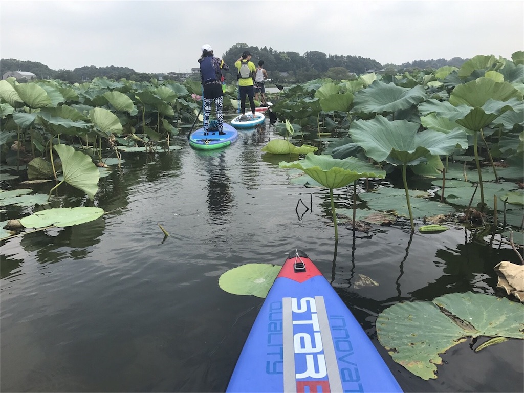 f:id:bigstrategy:20180819092047j:image f:id:bigstrategy:20180819092047j:image