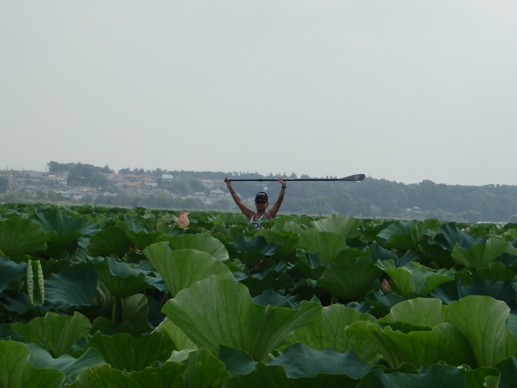 f:id:bigstrategy:20180820115614j:plain f:id:bigstrategy:20180820115614j:plain