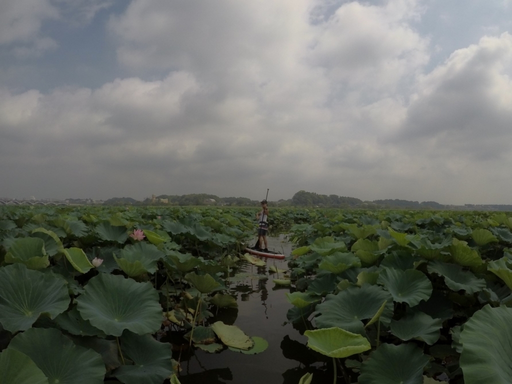 f:id:bigstrategy:20180820133016j:plain f:id:bigstrategy:20180820133016j:plain