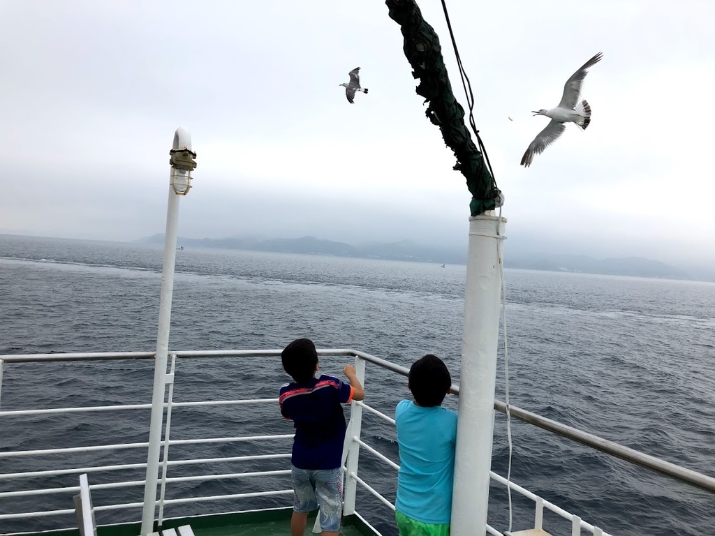 f:id:bigstrategy:20180903112116j:plain f:id:bigstrategy:20180903112116j:plain