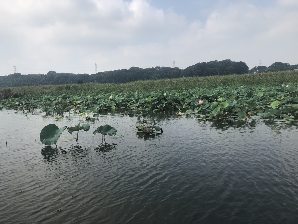 f:id:bigstrategy:20180905172818j:plain f:id:bigstrategy:20180905172818j:plain