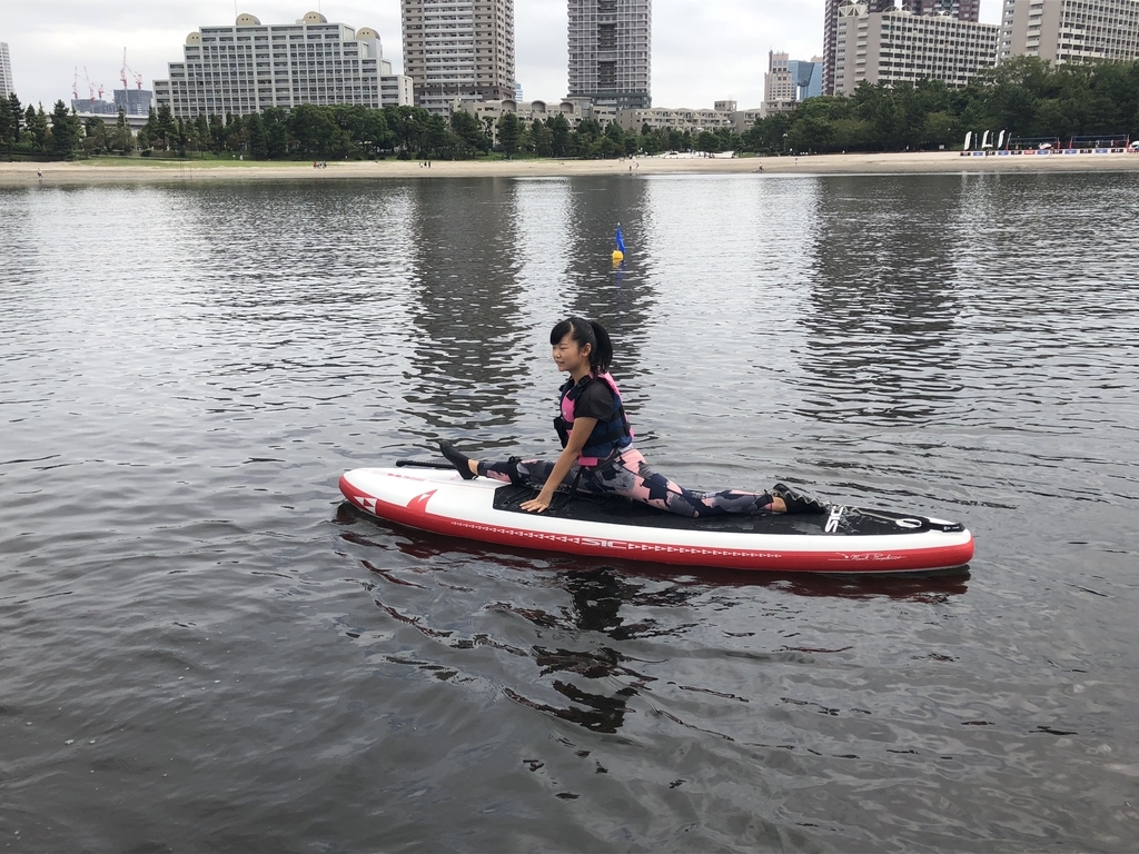 f:id:bigstrategy:20180926163328j:plain f:id:bigstrategy:20180926163328j:plain