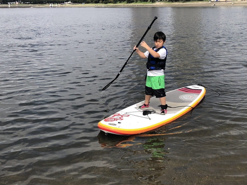 f:id:bigstrategy:20180926164839j:plain f:id:bigstrategy:20180926164839j:plain